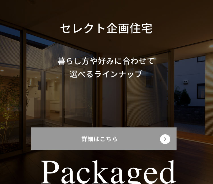 ”代替テキスト”